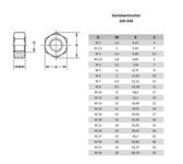 Lothring-Schrauben-Sechskantmutter-DIN 934-verzinkt-A2-A4-blank.JPG